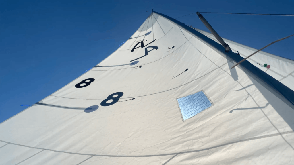 albacore-3