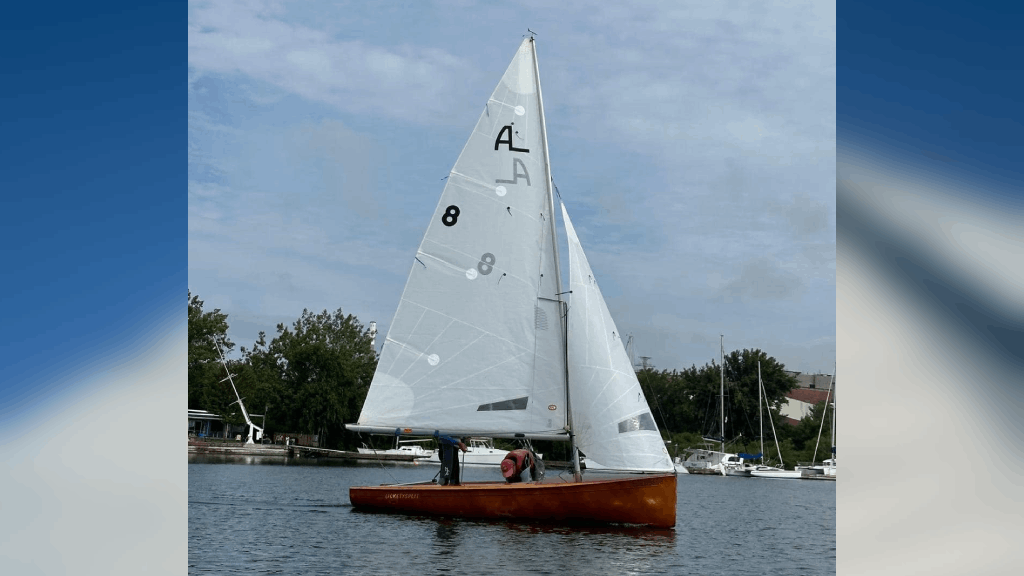 albacore-4